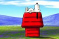 /album/galleria-fotografica/snoopy-wallpaper-snoopy-33124418-1024-768-copia-2-jpg/